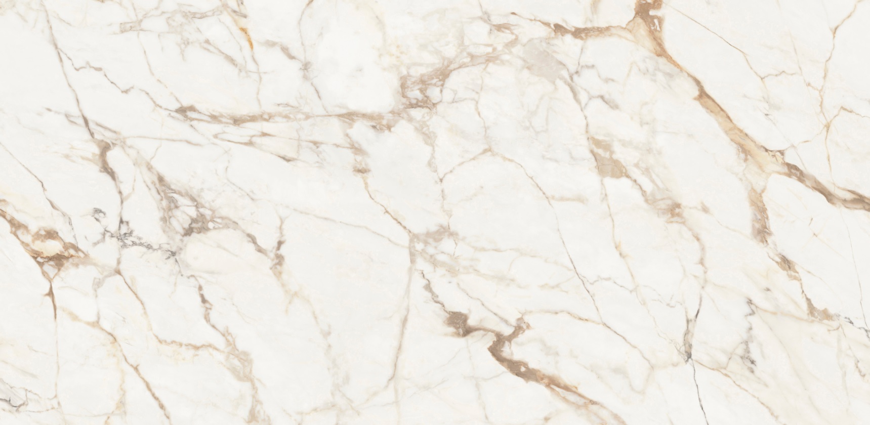 xtone-calacatta-gold-2